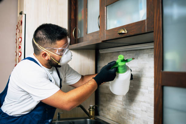 Reliable Woodstock, AL Pest Control Solutions
