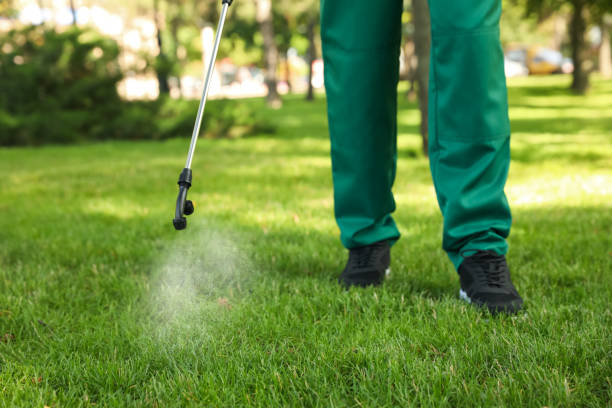 Best Cockroach Control Services  in Woodstock, AL