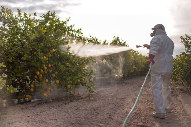 Best Wildlife Control Services  in Woodstock, AL