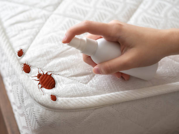  Woodstock, AL Pest Control Pros