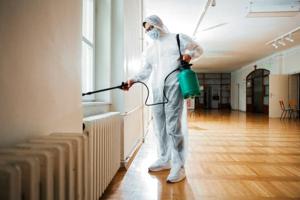 Best Local Pest Control Services  in Woodstock, AL